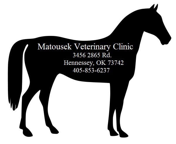 Matousek Animal Clinic